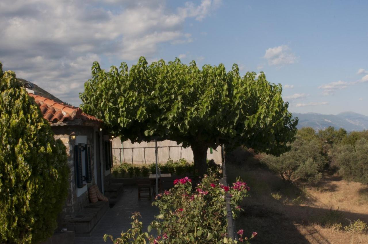 Villa Anna Nafpaktos Ngoại thất bức ảnh